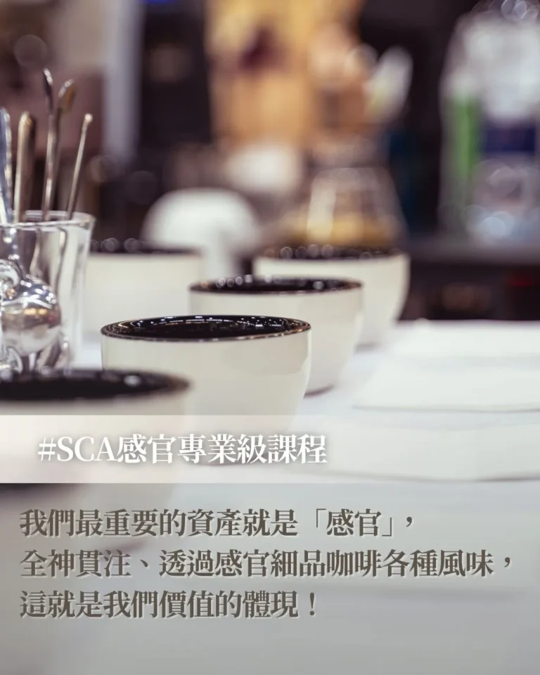 SCA感官專業手機版