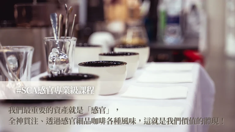 SCA感官專業級課程banner (1)