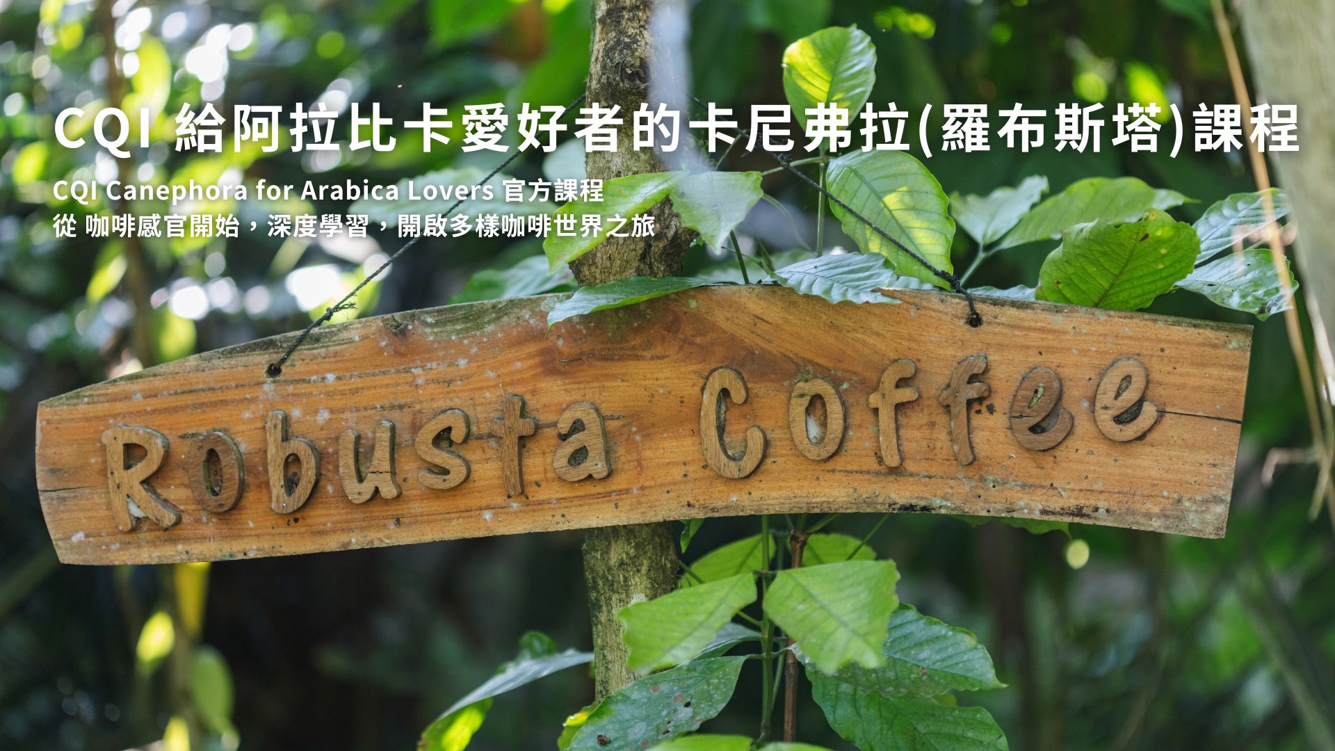 CQI 給阿拉比卡愛好者的卡尼弗拉 (羅布斯塔) 課程