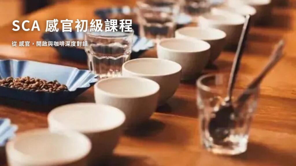 CCA SCA sensorey foundation