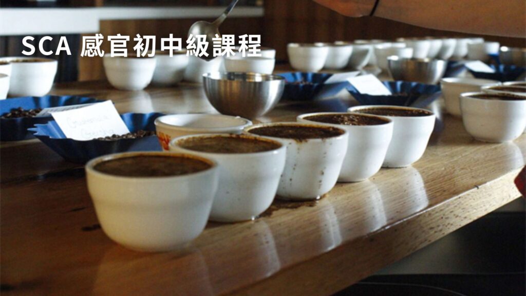 CCA SCA sensory foundation+intermediate