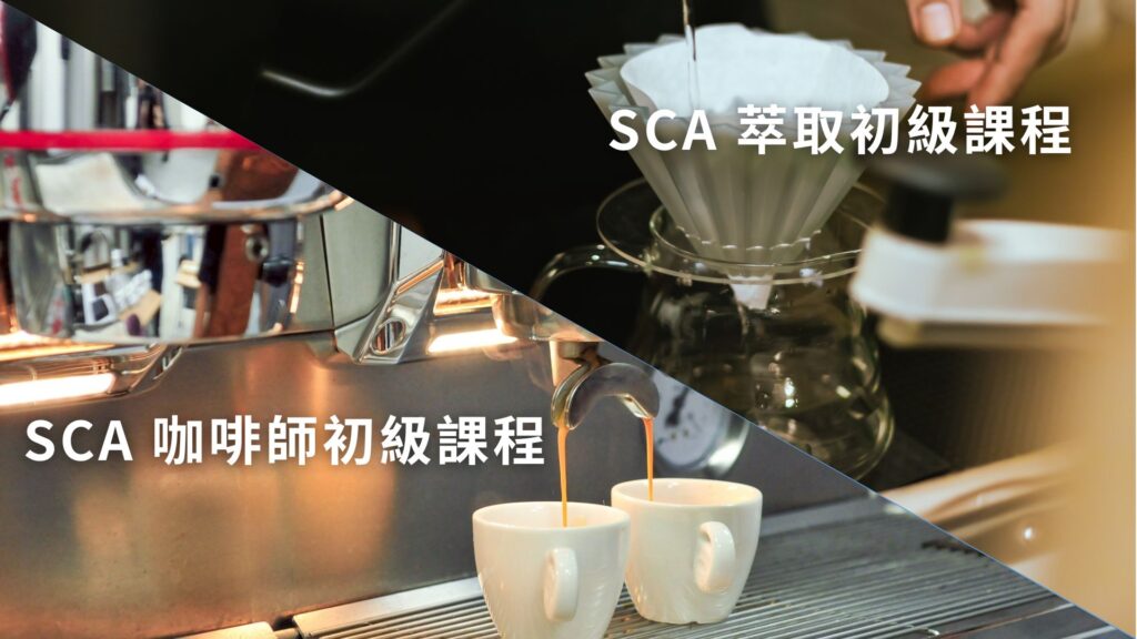 SCA barista & brewing course