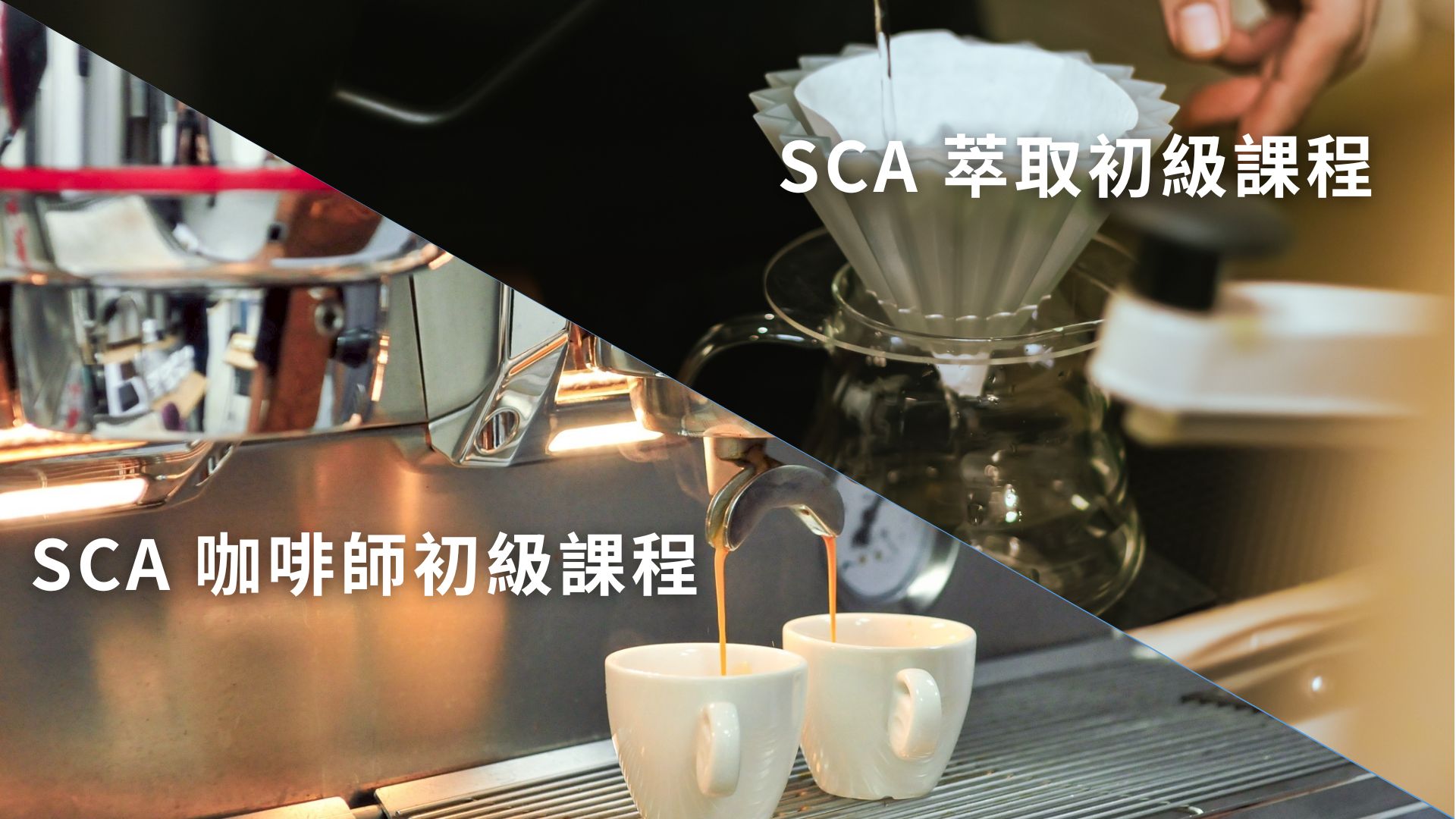 SCA barista & brewing course